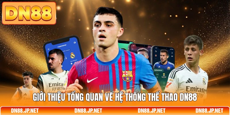 Giới thiệu tổng quan về hệ thống thể thao DN88