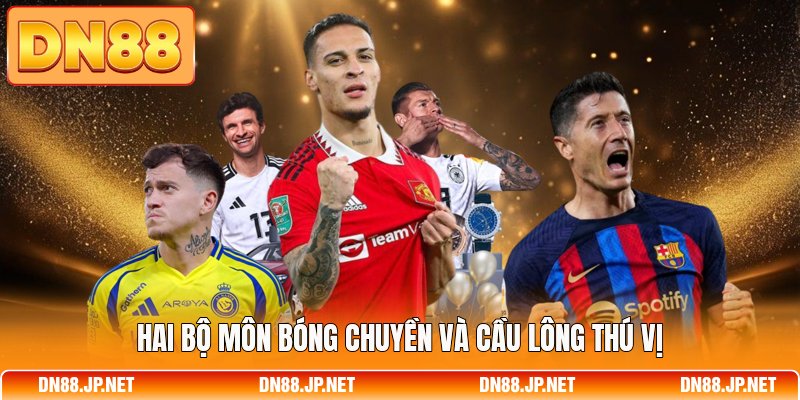 Hai bộ môn bóng chuyền và cầu lông thú vị