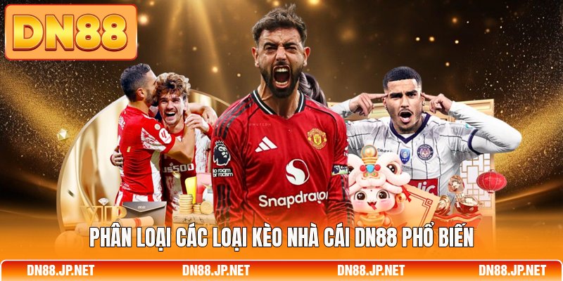 Phân loại các loại kèo nhà cái DN88 phổ biến