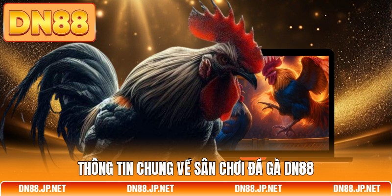 Thông tin chung về sân chơi đá gà DN88